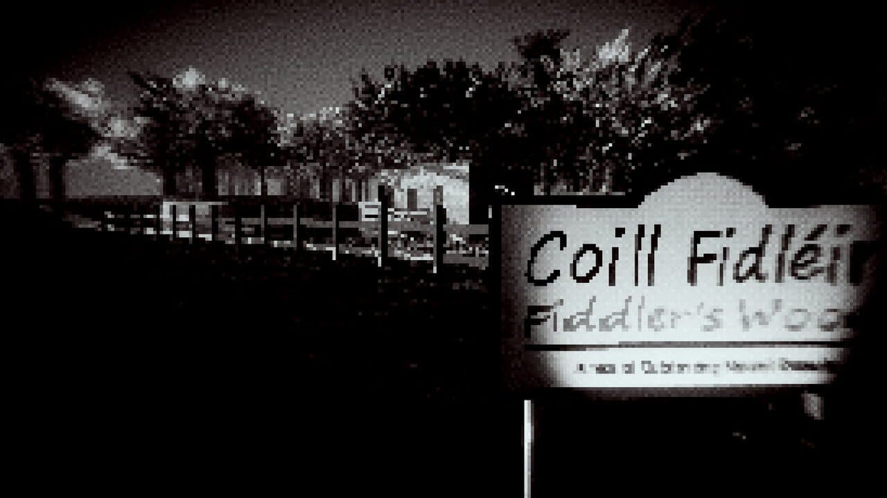 Fiddler's Wood thumbnail 2