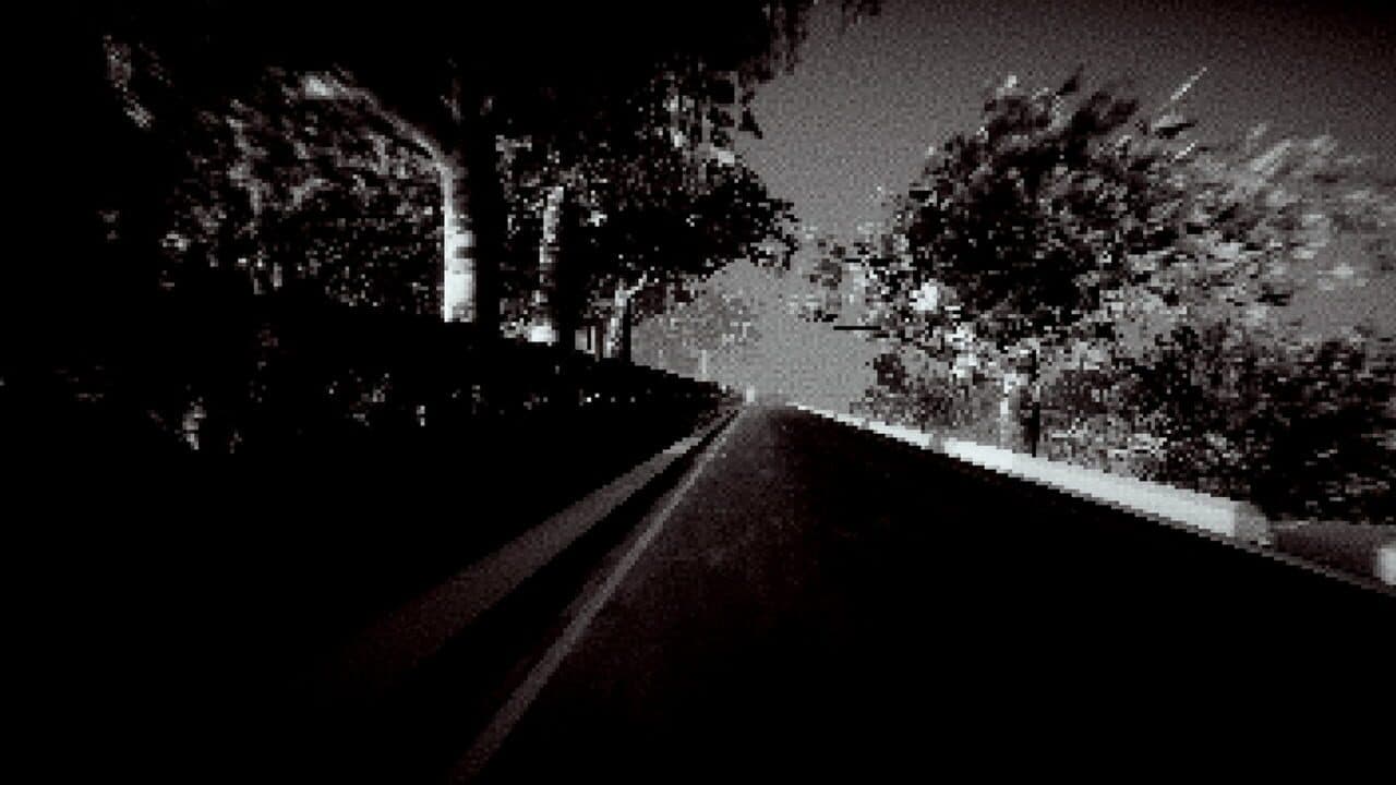 Fiddler's Wood screenshot 1