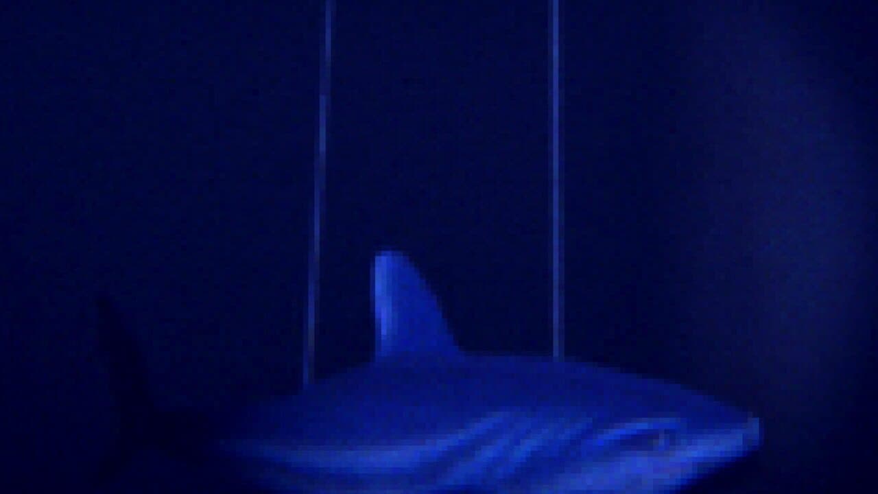 Dread in Deep Voyage thumbnail 2