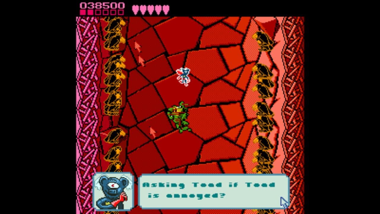 Pause Screen From Battletoads thumbnail 3