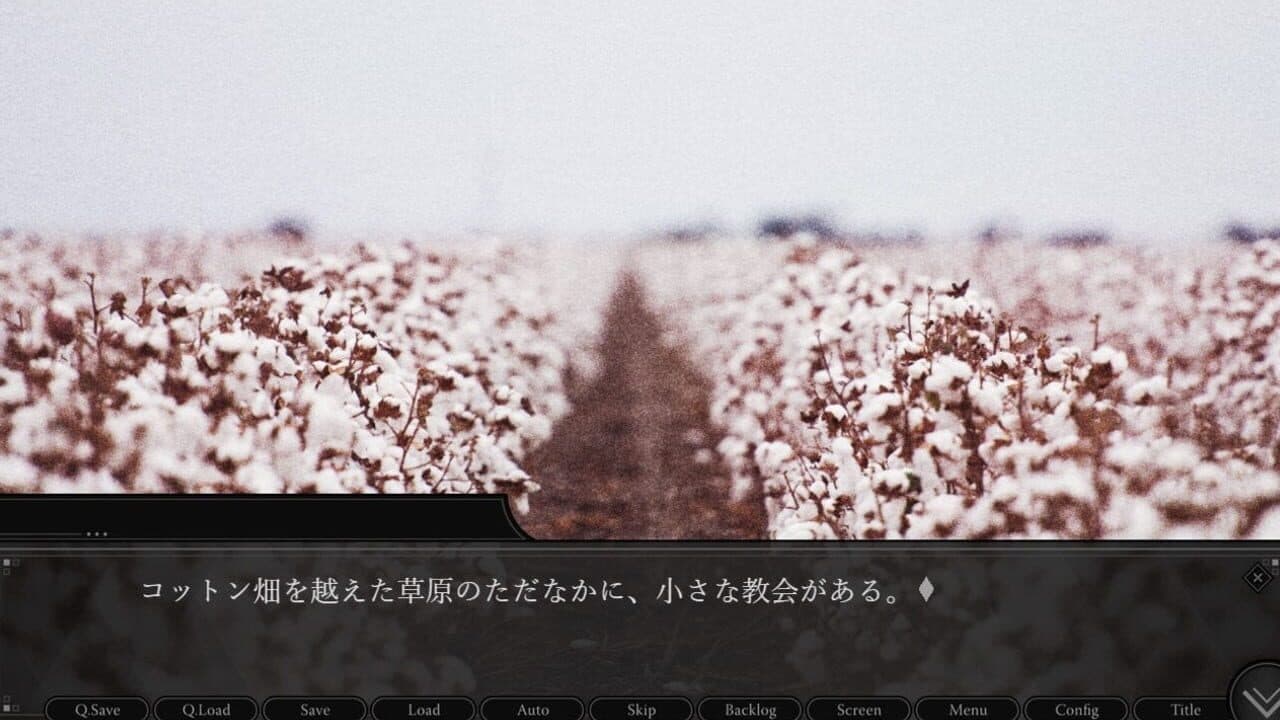 Seishoku ni Watashi wo thumbnail 3