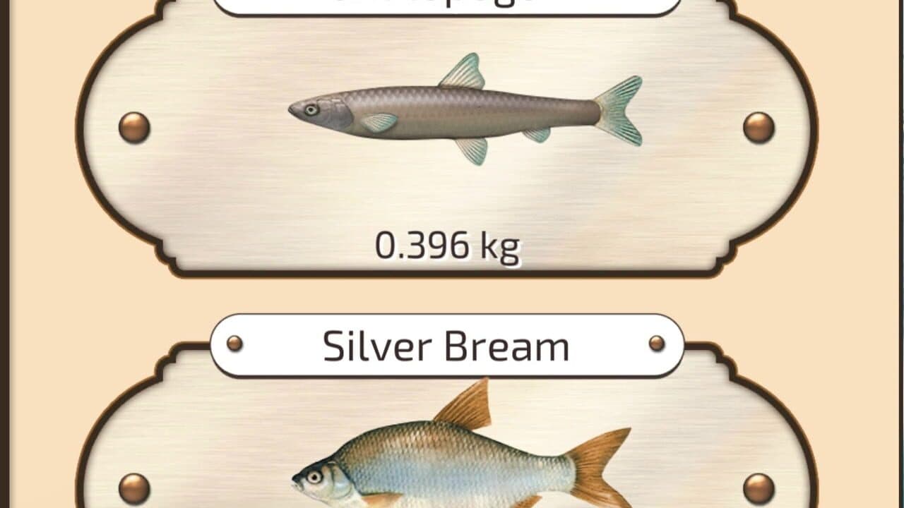 Let's Fish screenshot 1