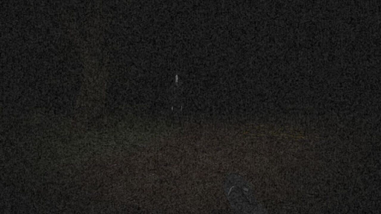 Slender's Woods thumbnail 20