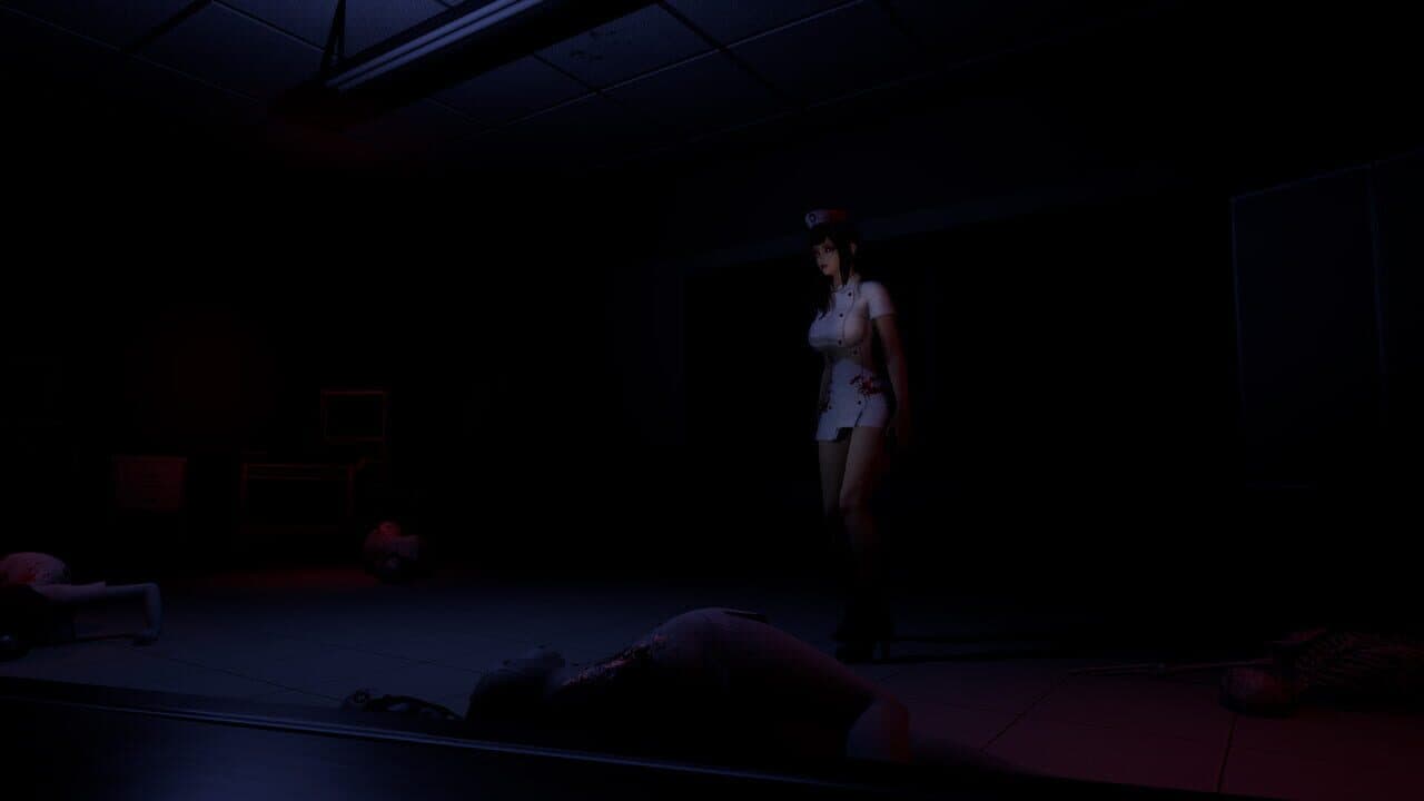 Ruined Nurse thumbnail 2
