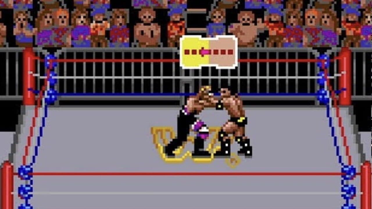 WWF Raw thumbnail 2