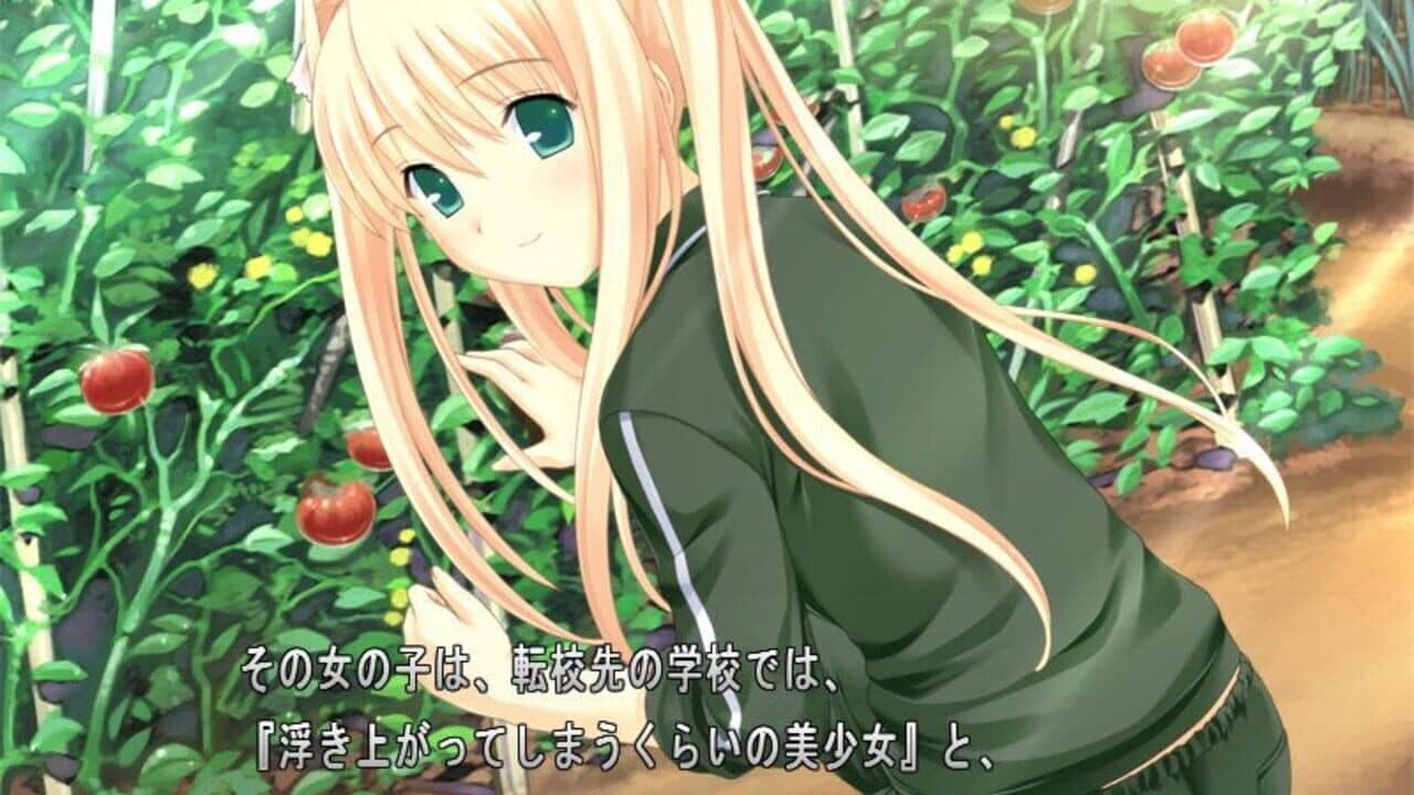 Kono Aozora ni Yakusoku wo thumbnail 2