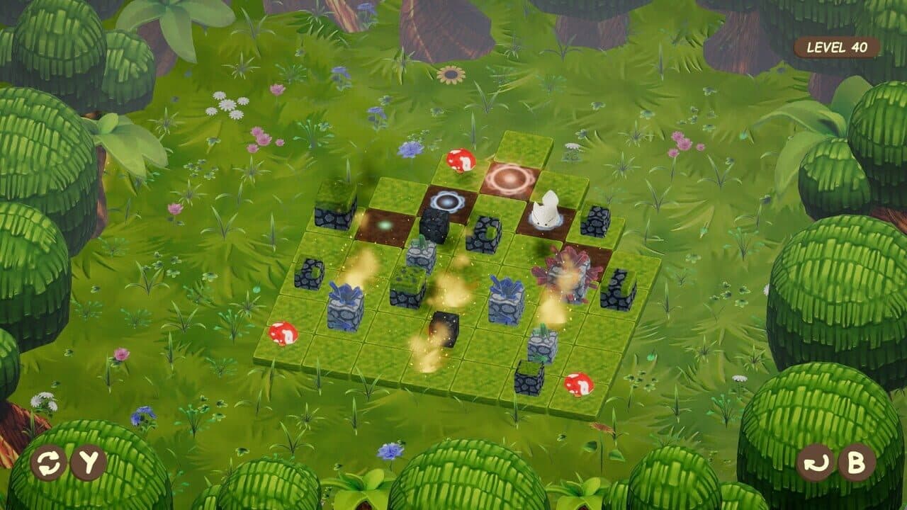 SokoNature thumbnail 6