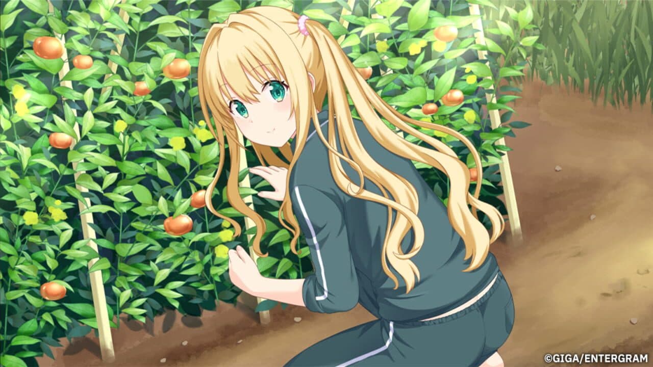 Kono Aozora ni Yakusoku wo: Refine thumbnail 15
