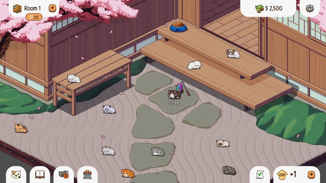 Chonkers thumbnail 3