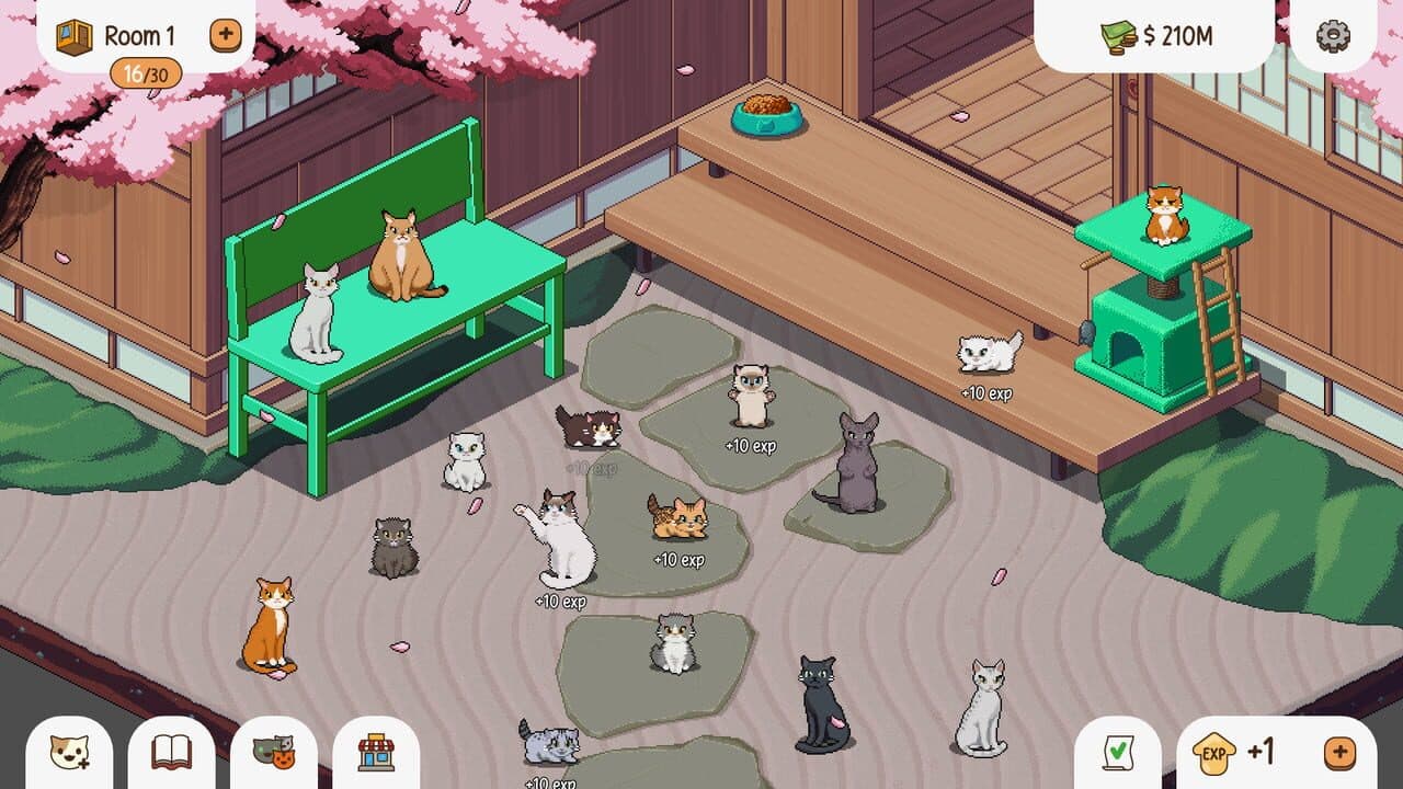Chonkers thumbnail 2
