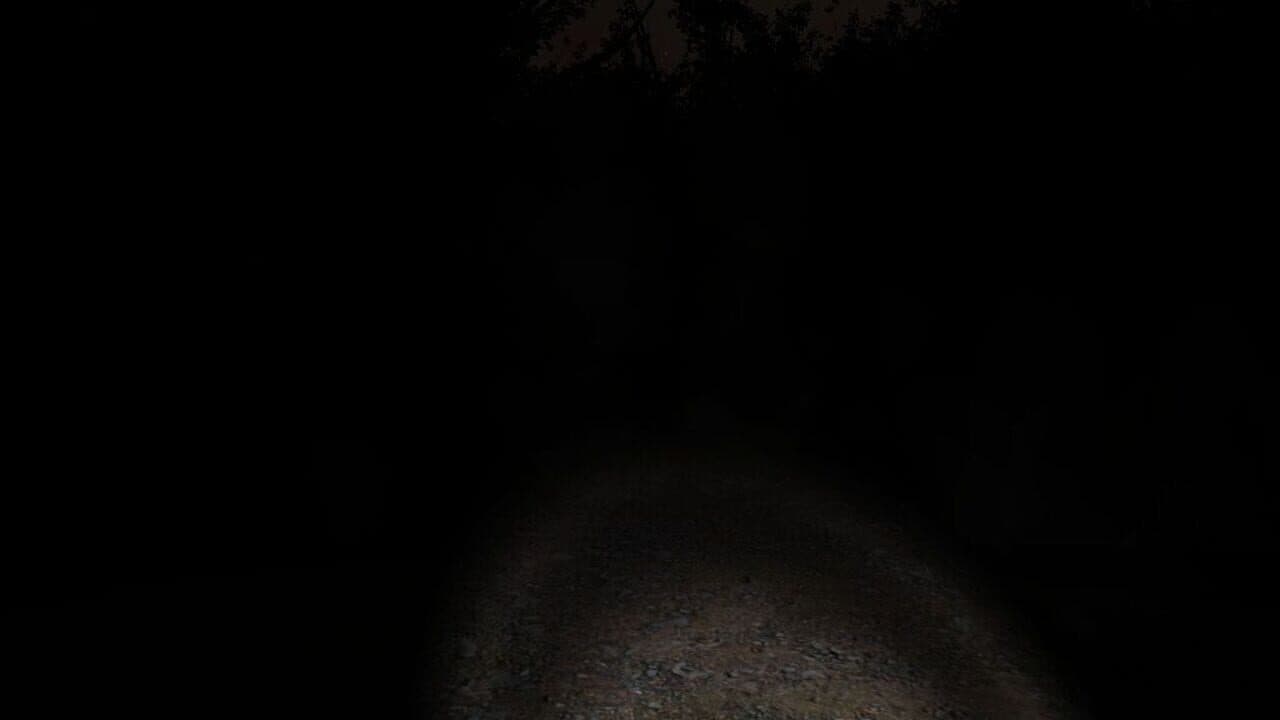 Slender: The Eight Pages thumbnail 5