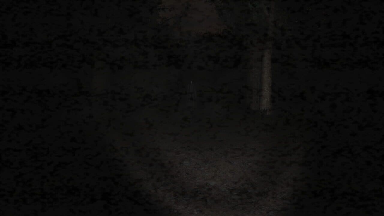 Slender: The Eight Pages thumbnail 16