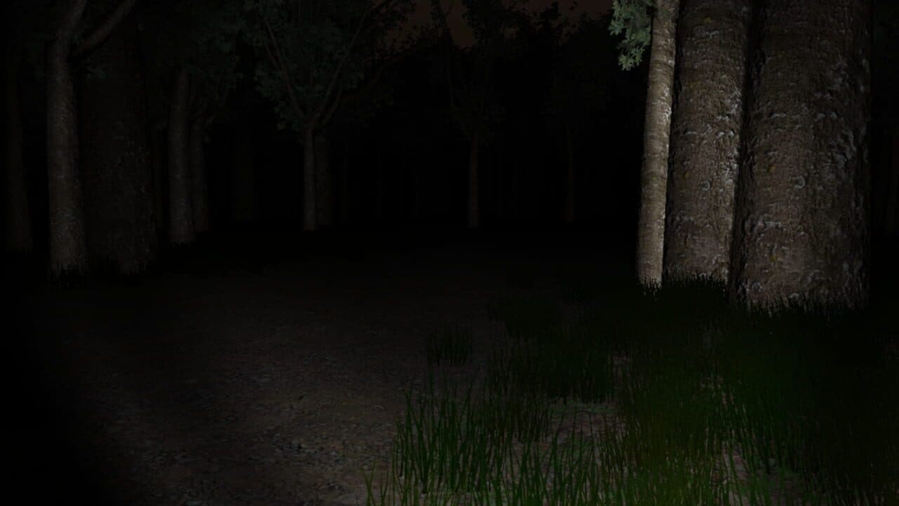 Slender: The Eight Pages thumbnail 13