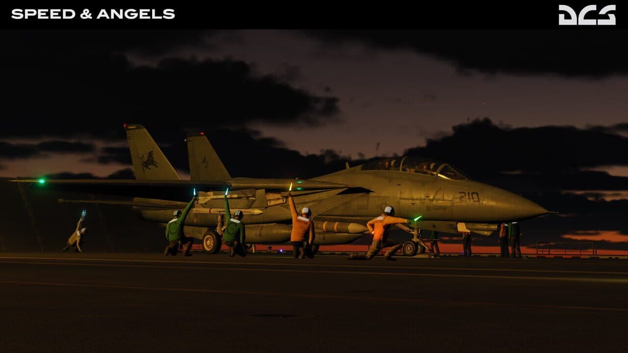 DCS World: F-14 Speed & Angels Campaign by Reflected Simulations thumbnail 6