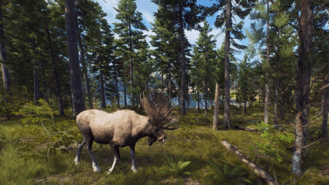 Way of the Hunter: Wild Expeditions thumbnail 4