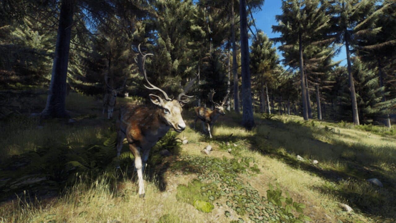 Way of the Hunter: Wild Expeditions thumbnail 6