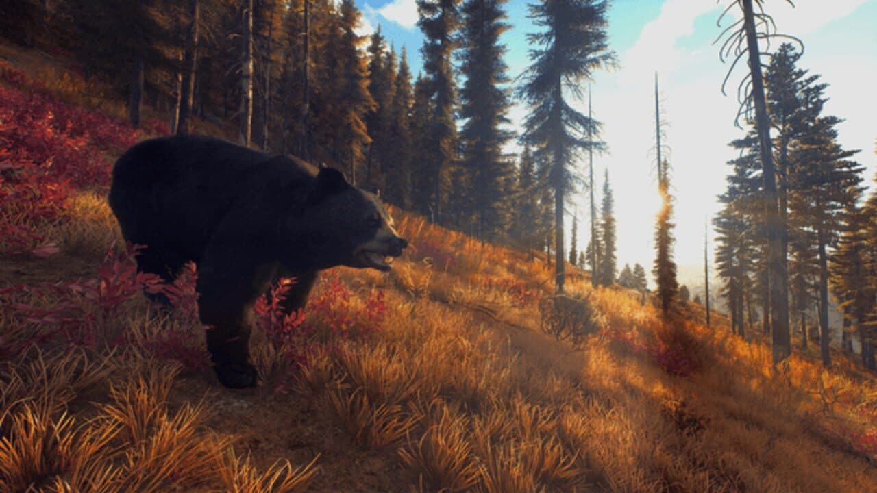 Way of the Hunter: Wild Expeditions thumbnail 12