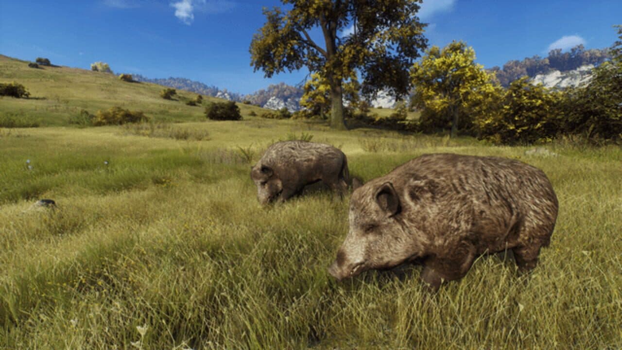 Way of the Hunter: Wild Expeditions thumbnail 13