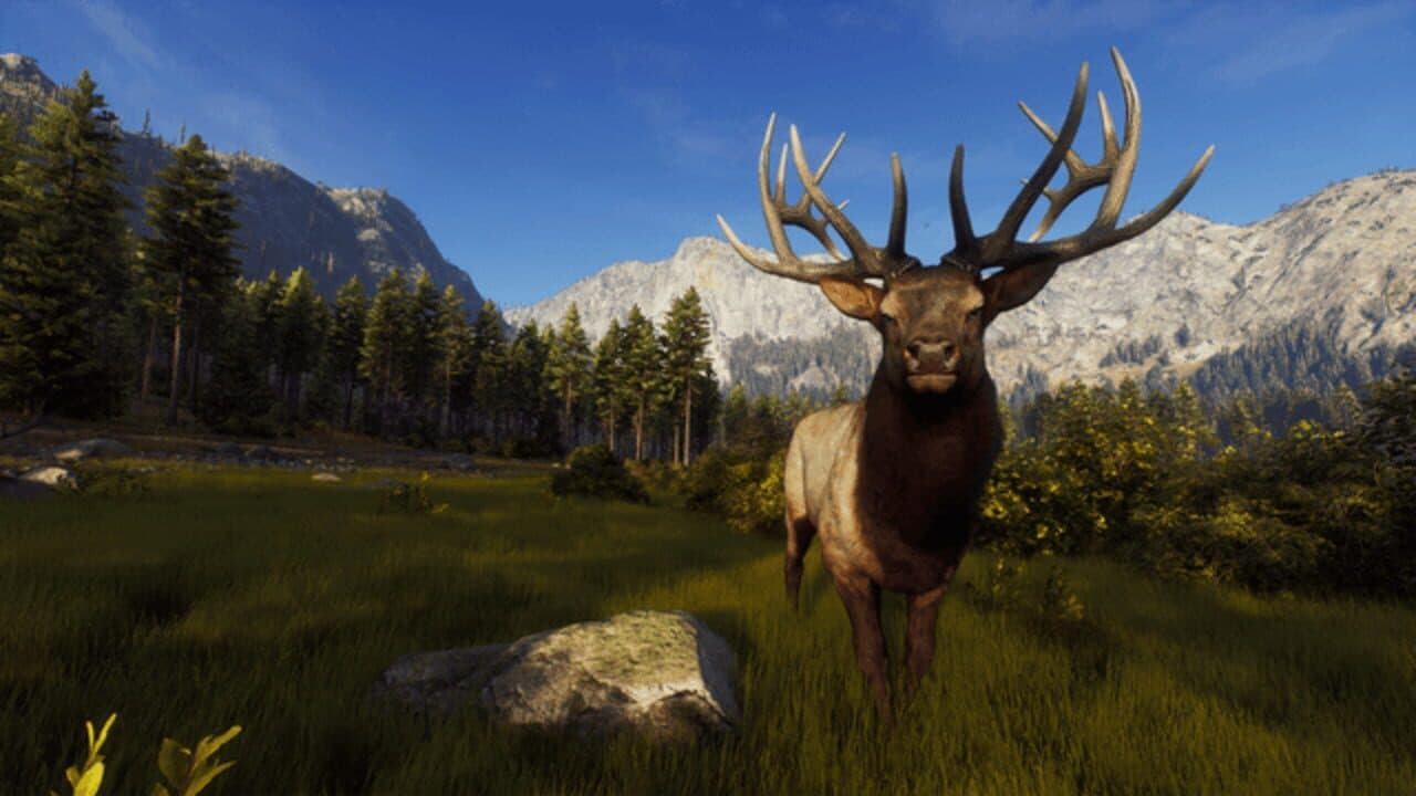Way of the Hunter: Wild Expeditions thumbnail 14