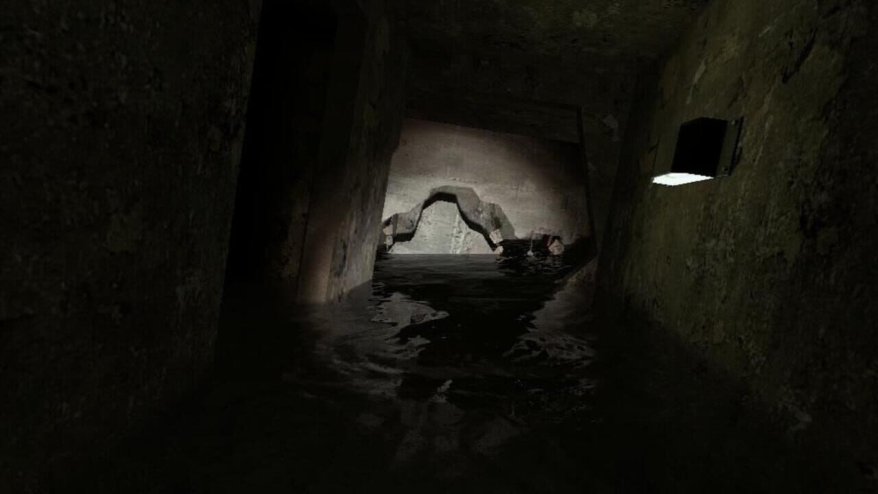 Korsakovia thumbnail 7