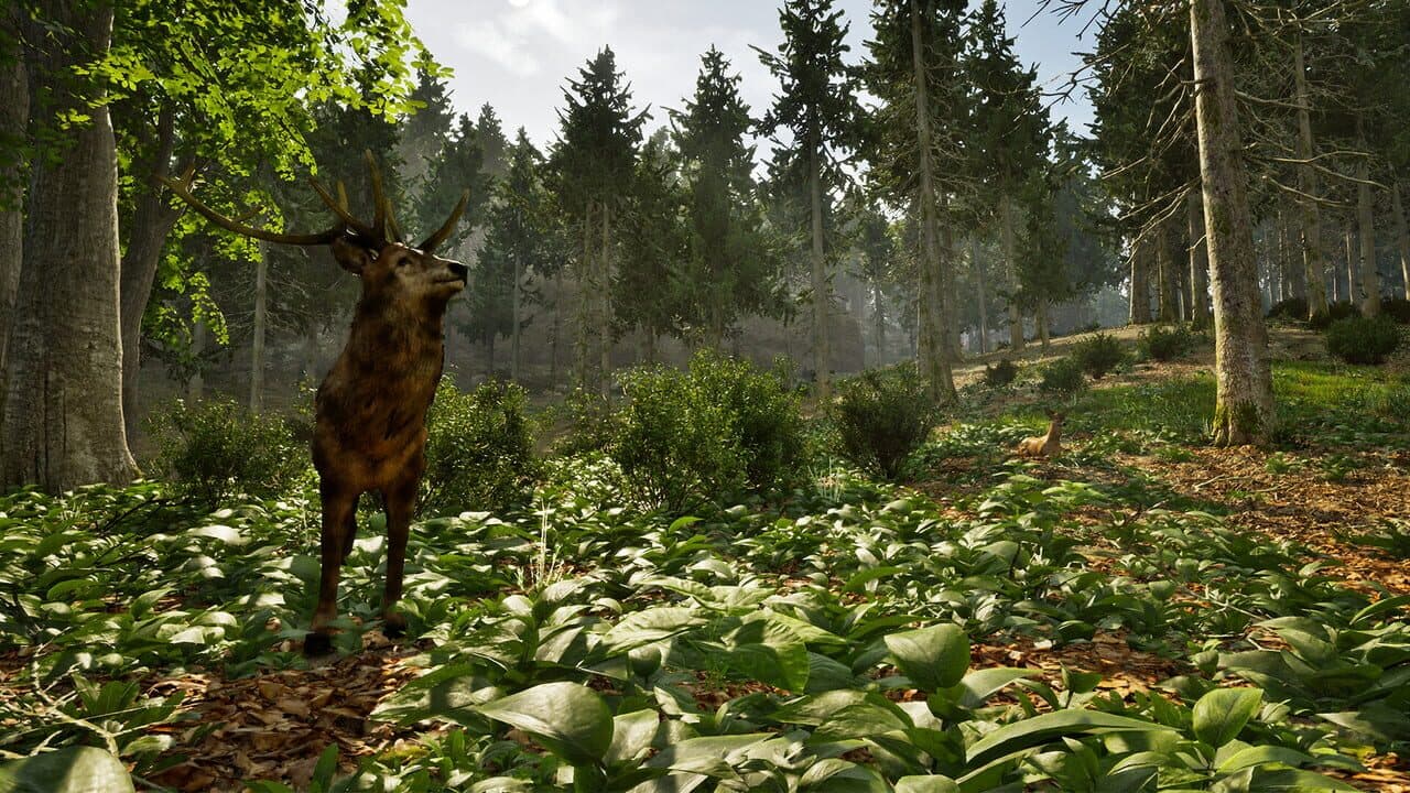 Park Ranger Simulator thumbnail 2