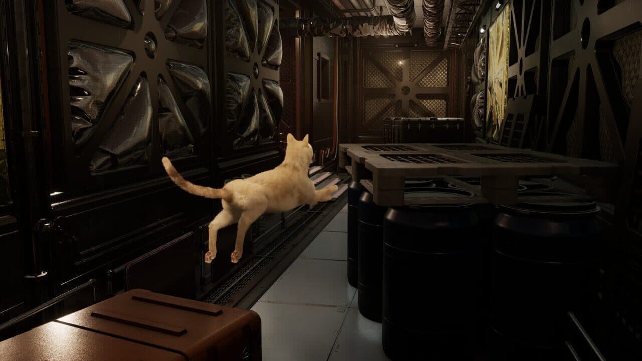 Catfall thumbnail 2