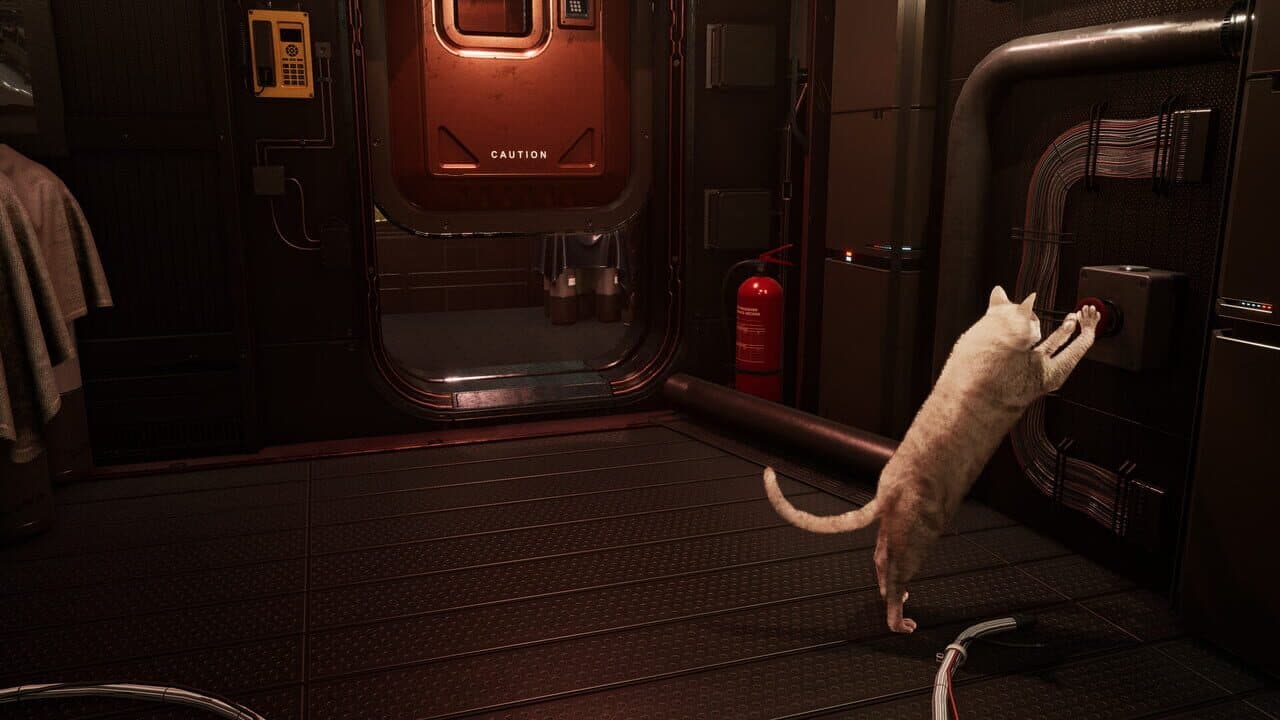 Catfall thumbnail 3