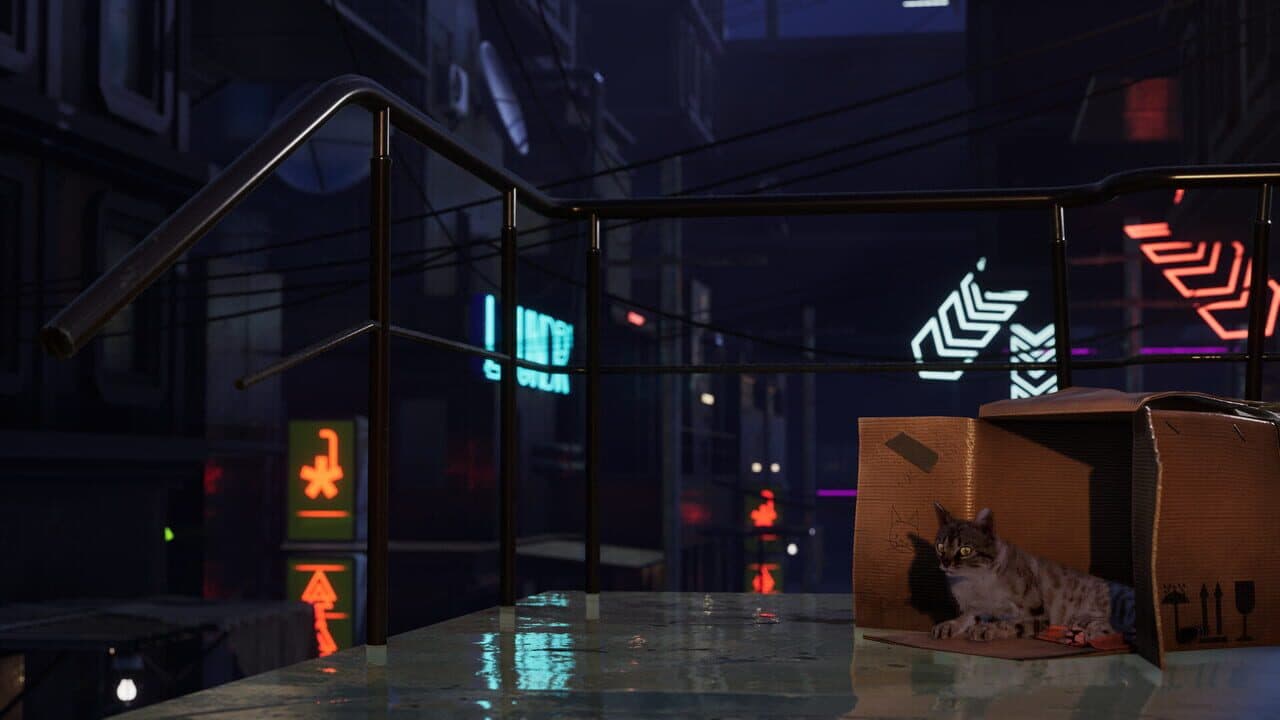 Catfall thumbnail 4