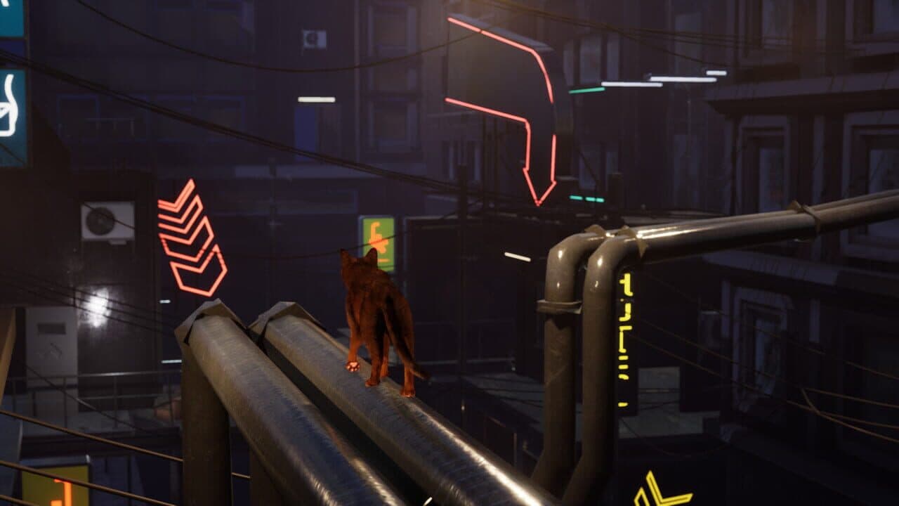 Catfall thumbnail 5