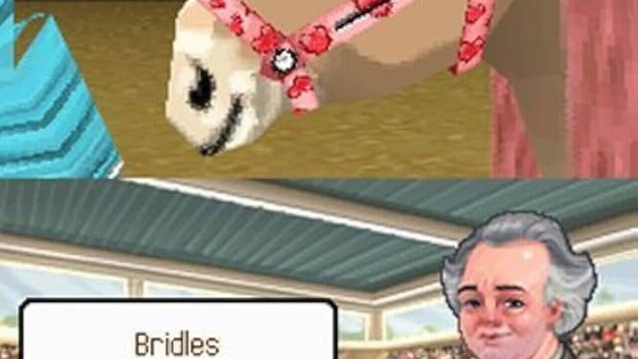 Petz Pony Beauty Pageant screenshot 1