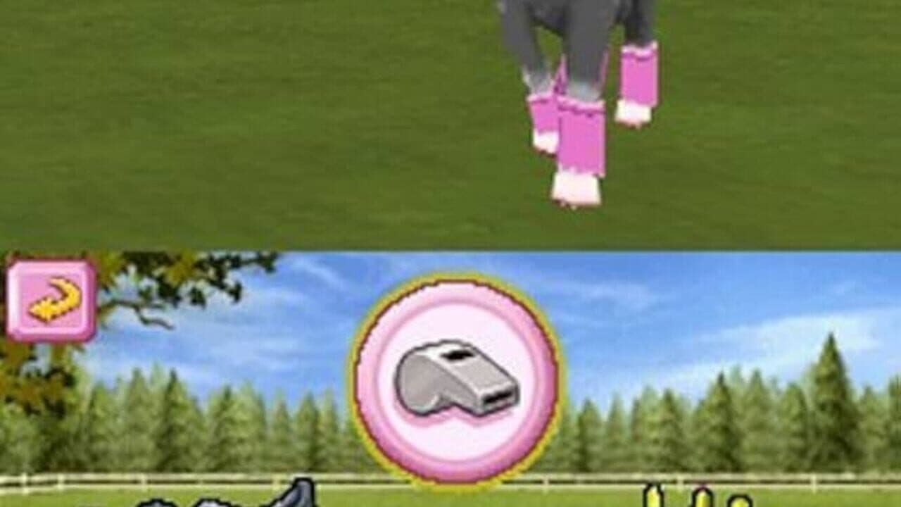 Petz Pony Beauty Pageant thumbnail 3