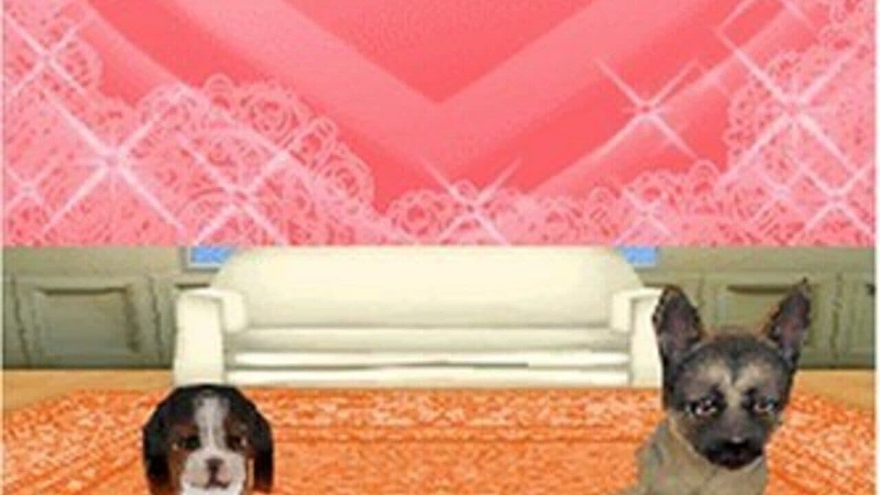 Petz Dogz Pack thumbnail 2