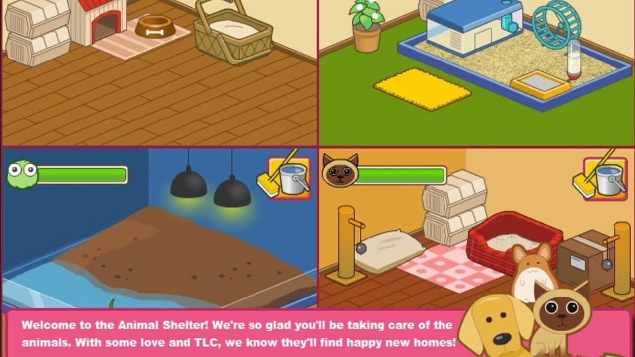 Animal Shelter thumbnail 2