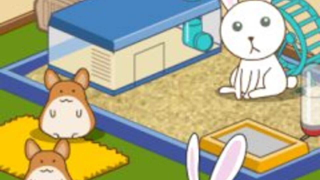 Animal Shelter thumbnail 4
