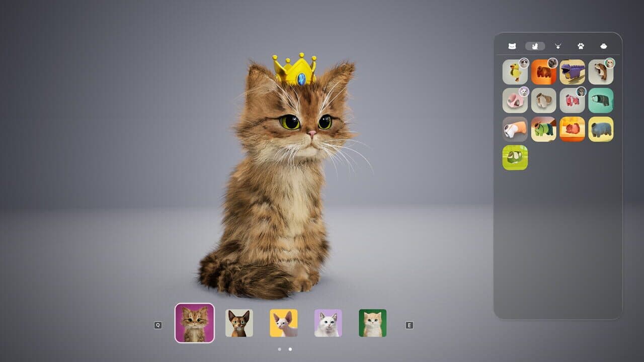 Catly thumbnail 14