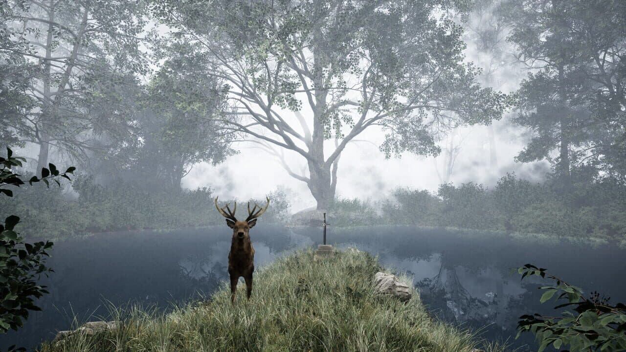 TheLostWoods screenshot 1