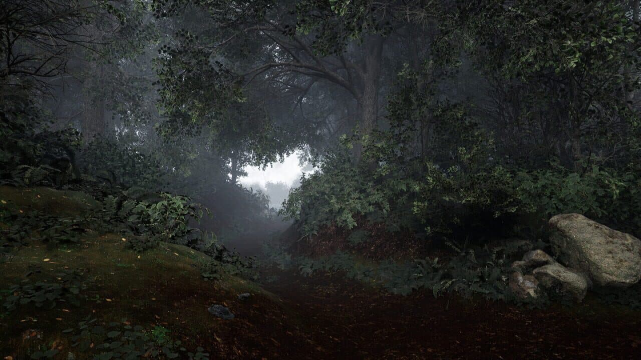TheLostWoods thumbnail 2