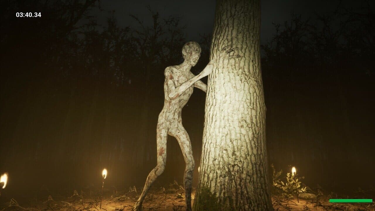 Slender: Reborn thumbnail 3