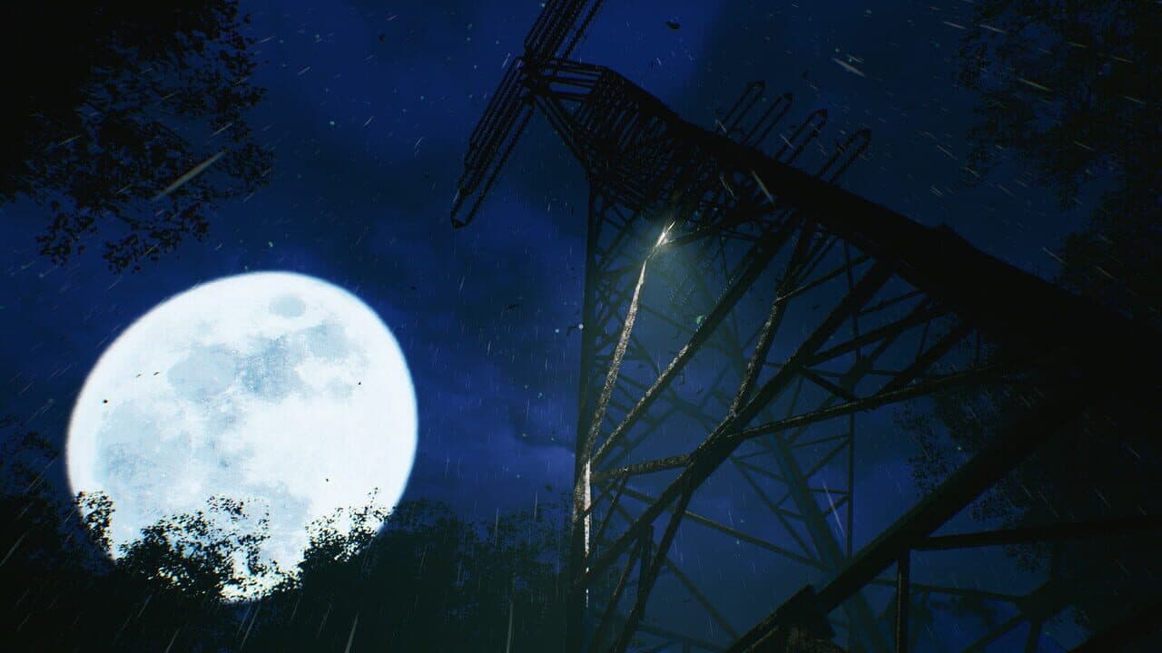 The Sinking Forest thumbnail 4