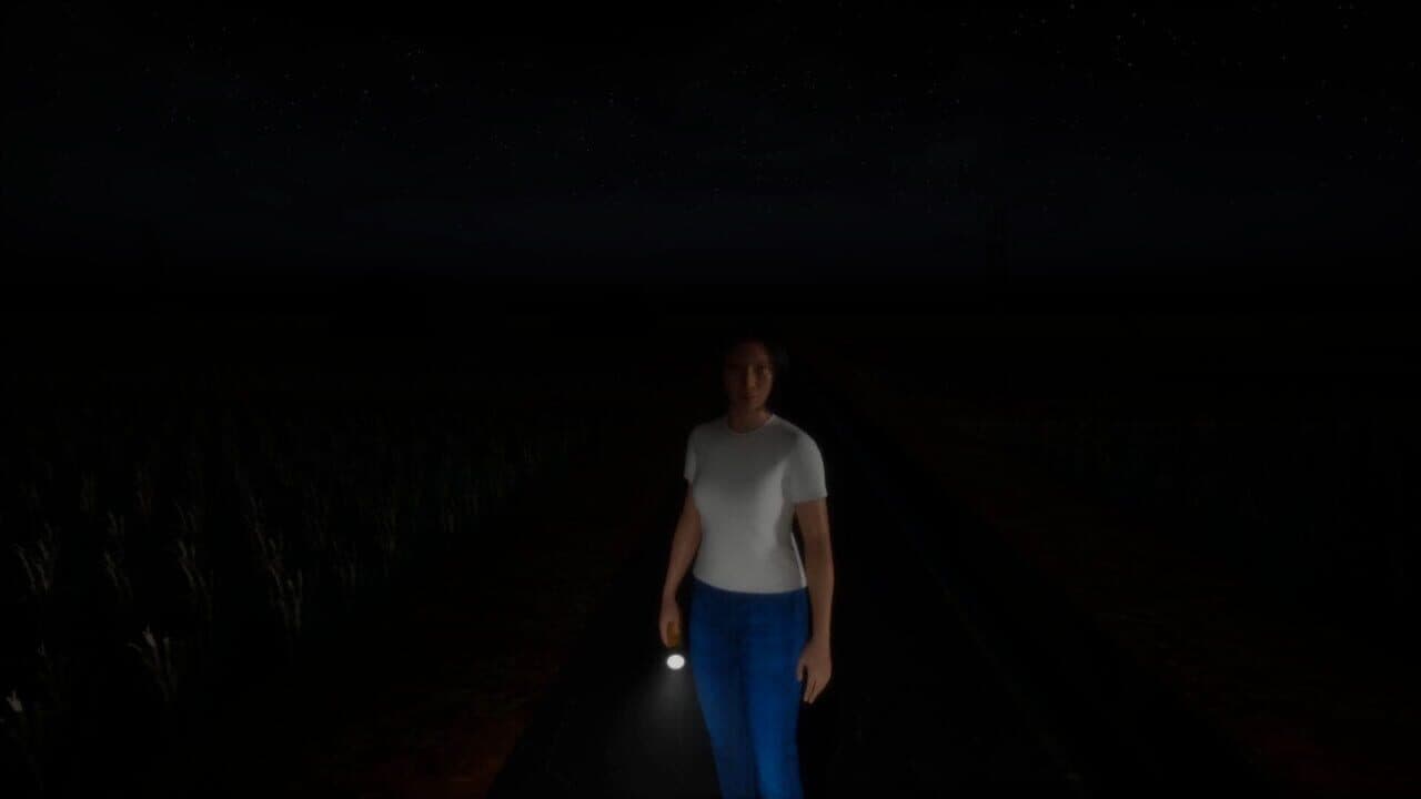 The Paddy Field thumbnail 6