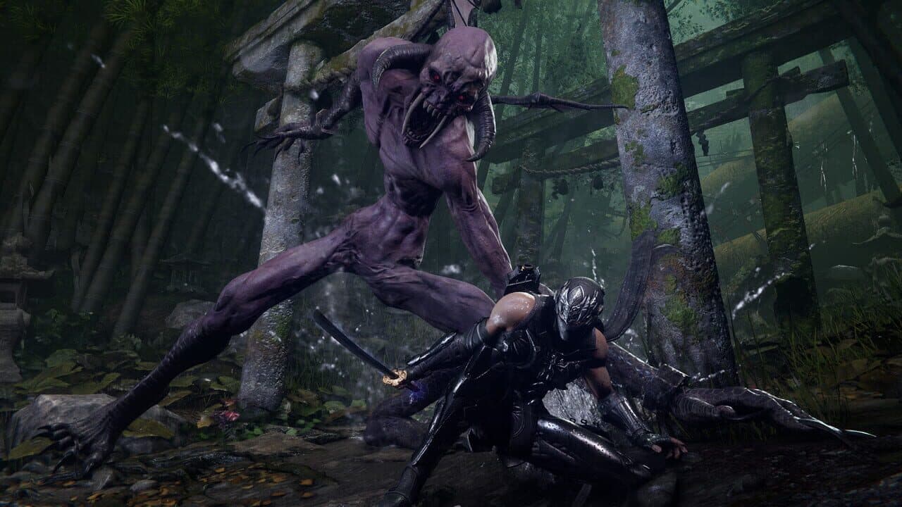 Ninja Gaiden 4 thumbnail 7