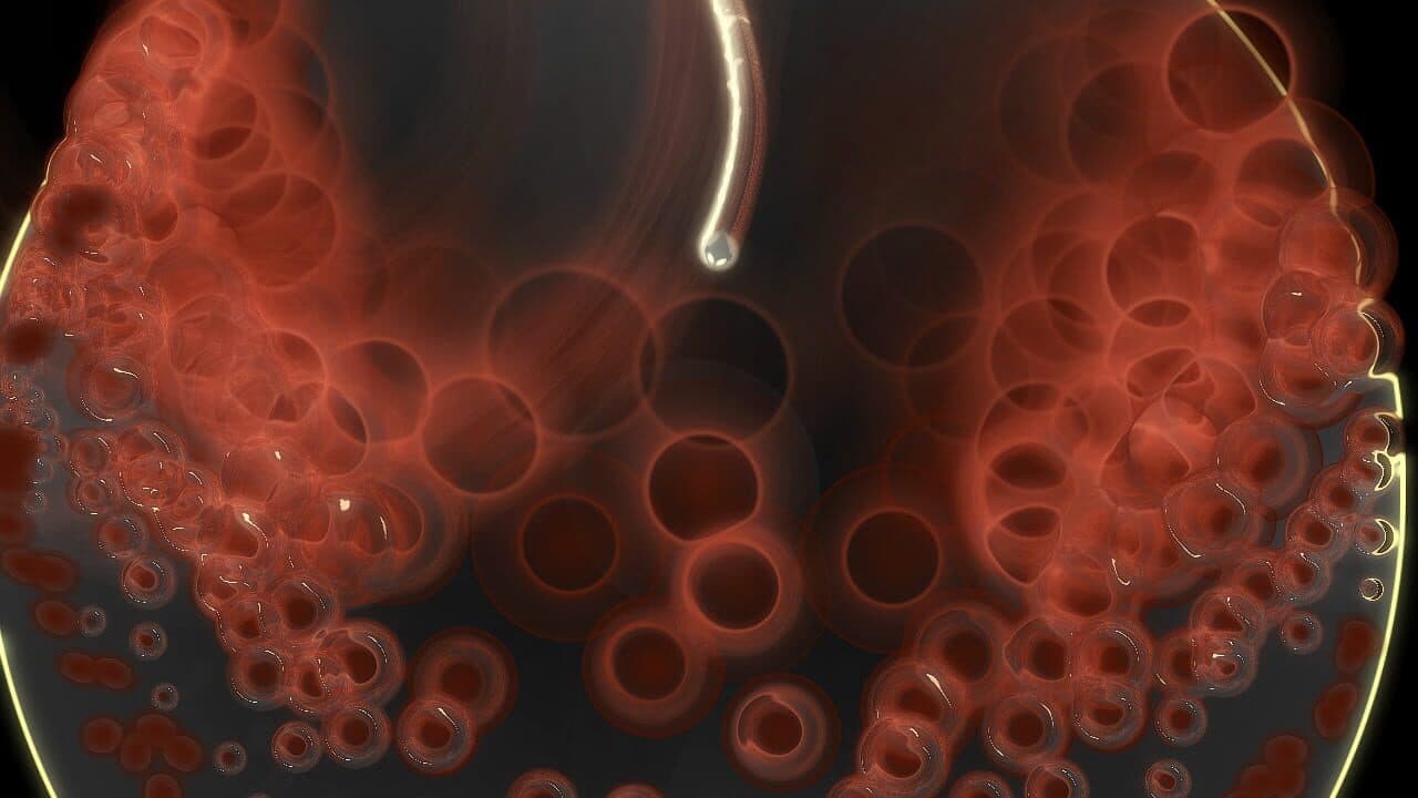 Fluid thumbnail 7