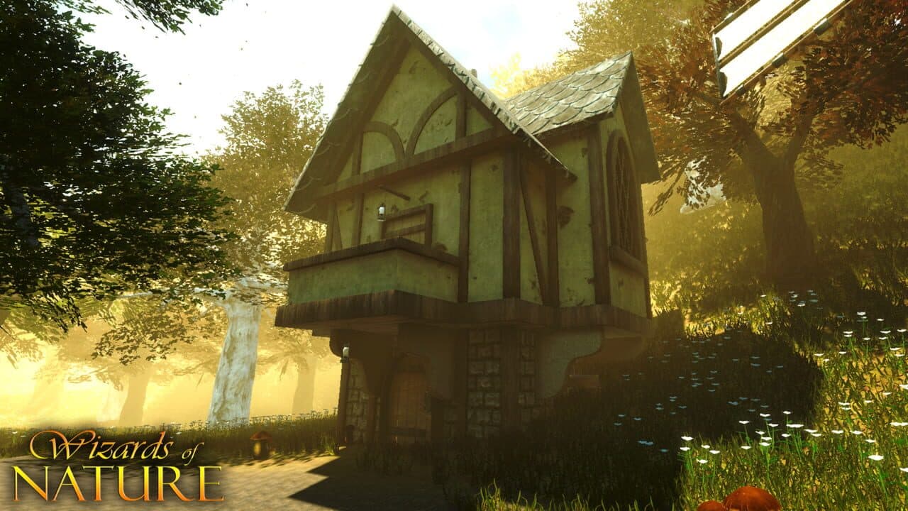 Wizards of Nature thumbnail 10
