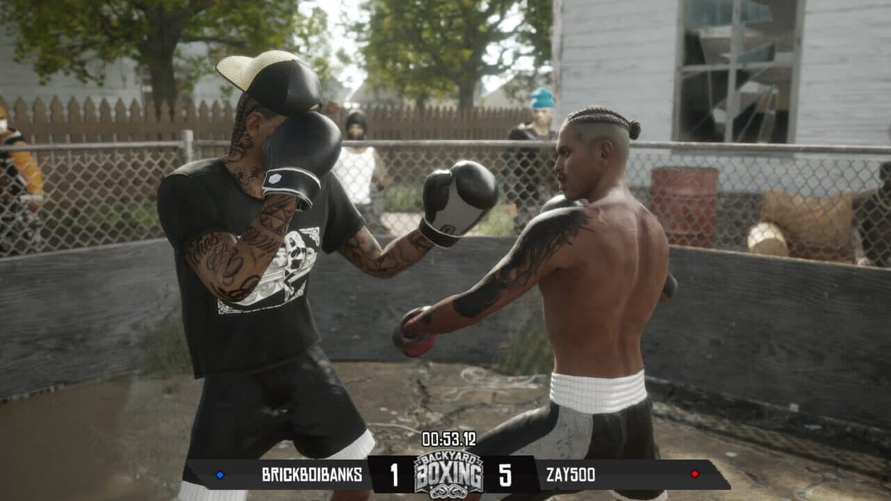 Backyard Boxing thumbnail 3