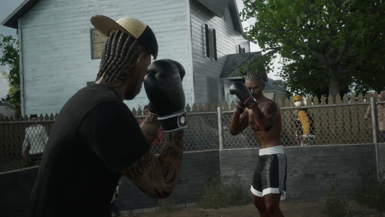 Backyard Boxing thumbnail 4