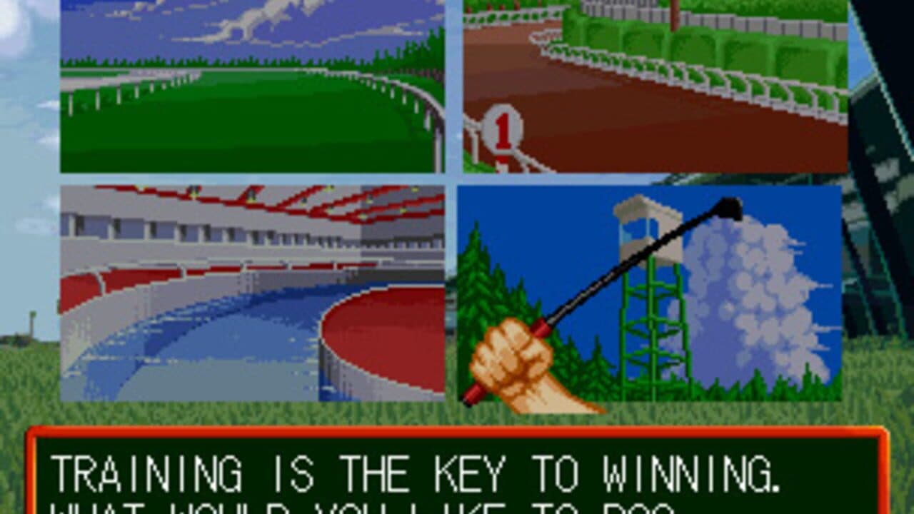 Stakes Winner 2 thumbnail 5