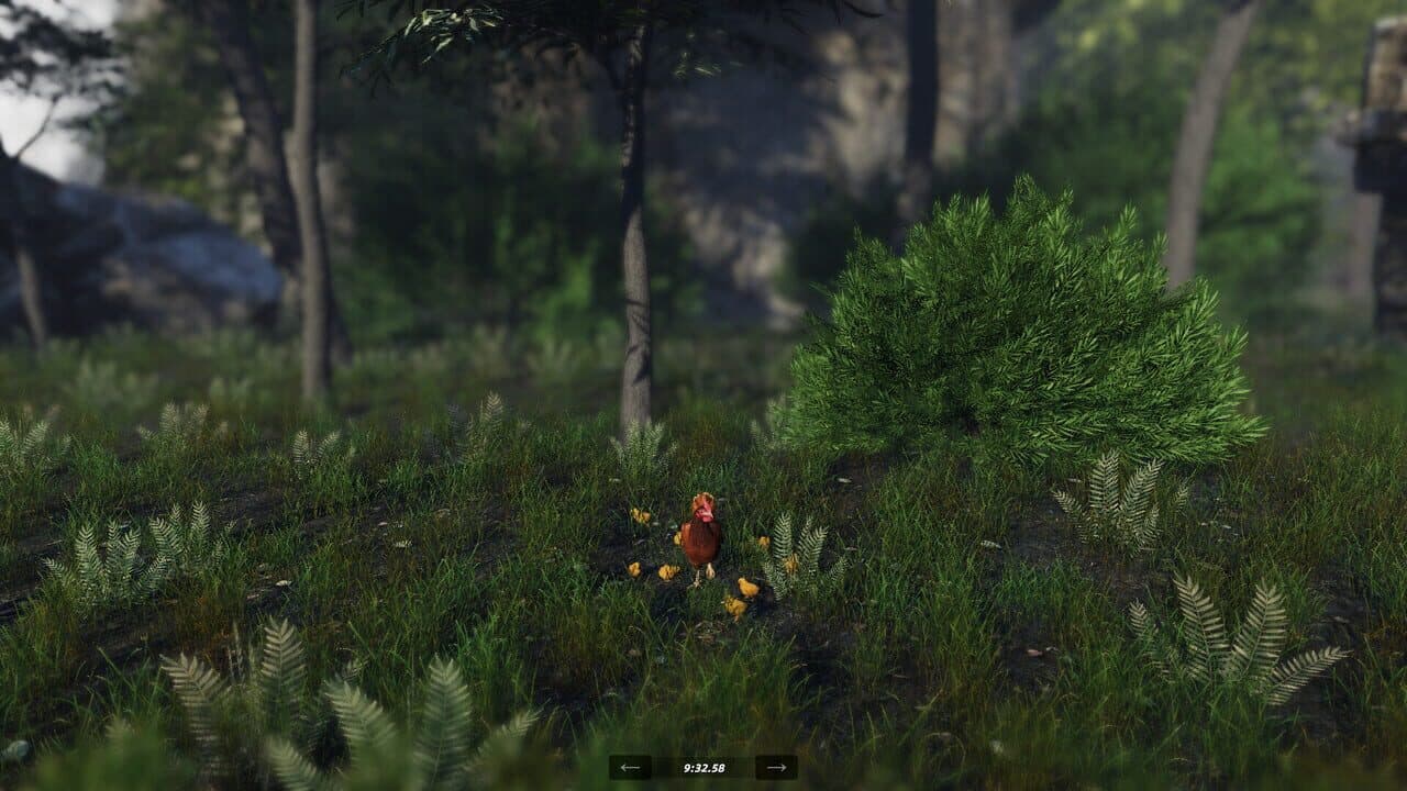 Unlucky Chicken thumbnail 5