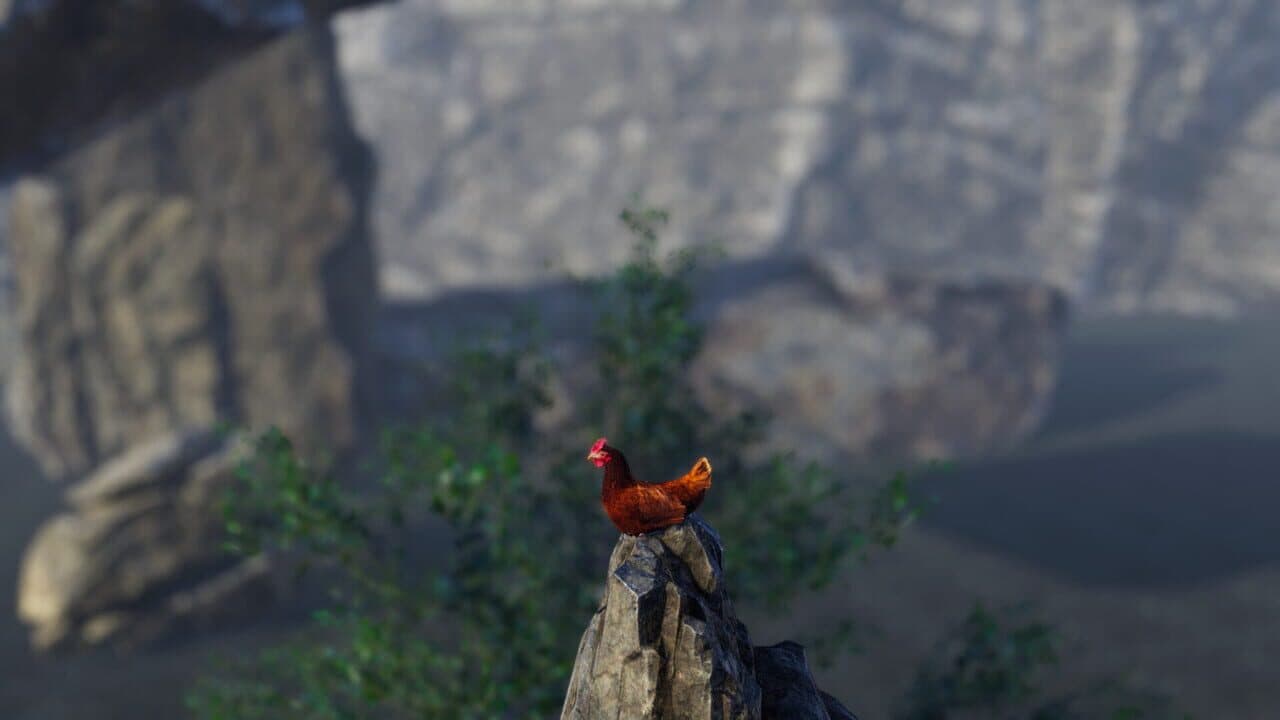 Unlucky Chicken thumbnail 6