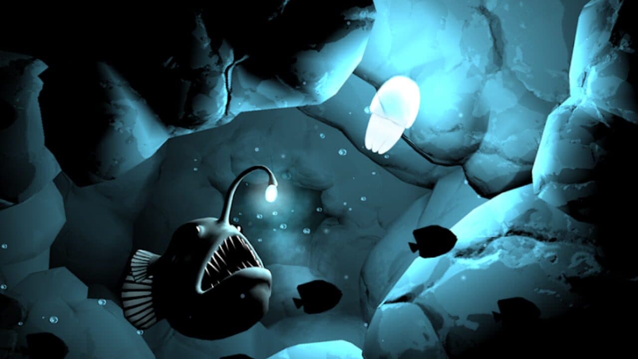 Seashine thumbnail 2