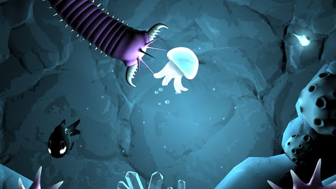 Seashine thumbnail 3